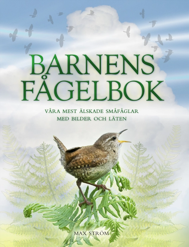 Barnens fågelbok : våra mest älskade småfåglar med bilder och läten; Andrea Pinnington, Caz Buckingham; 2017
