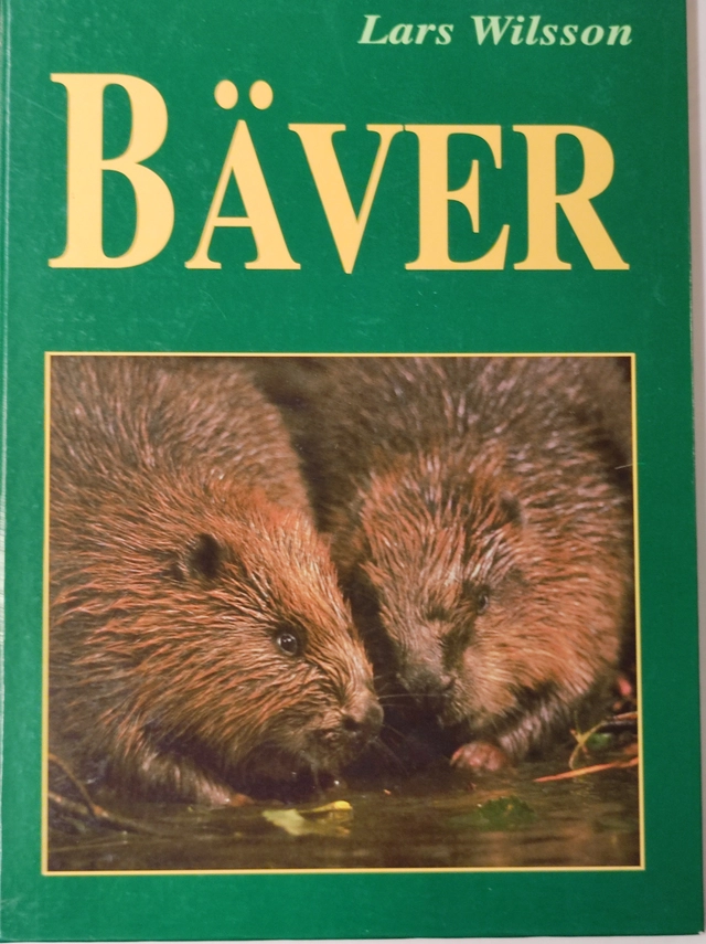 Bäver; Lars Wilsson; 1995