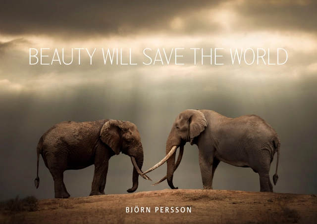 Beauty will save the world; Björn Persson; 2020