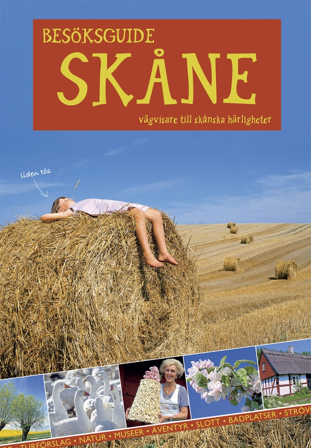 Besöksguide Skåne : vägvisare till Skånska härligheter; Håkan Sandbring; 2006