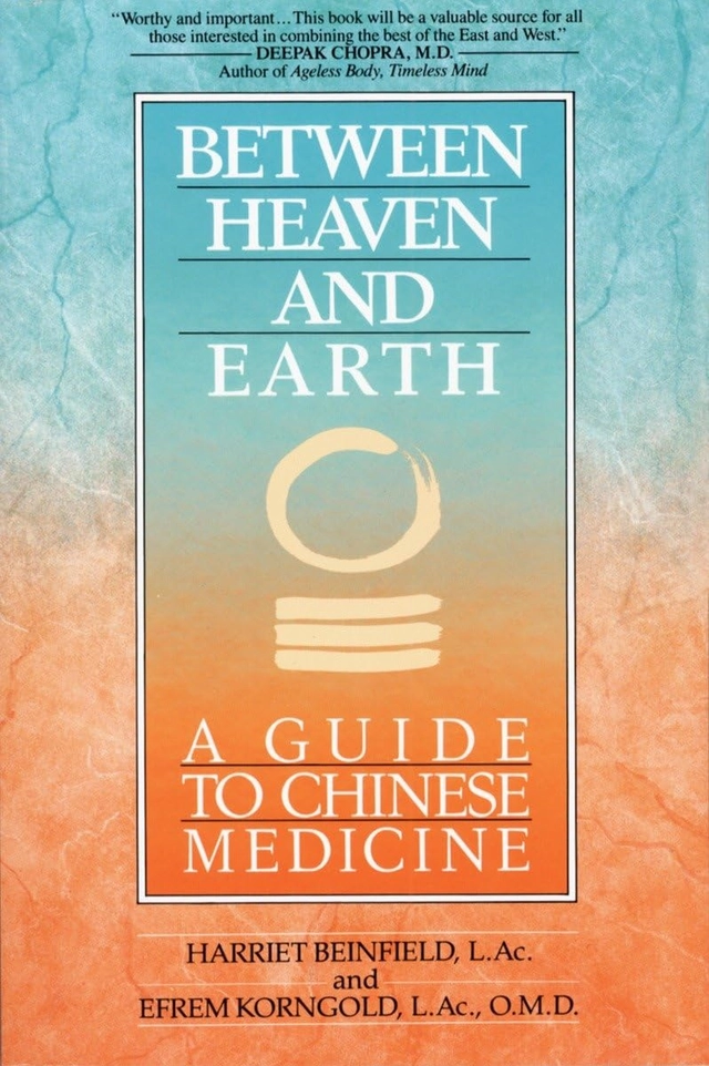 Between heaven and earth; Harriet Beinfield; 1992