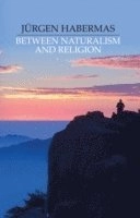 Between Naturalism and Religion: Philosophical Essays; Jurgen Habermas; 2008