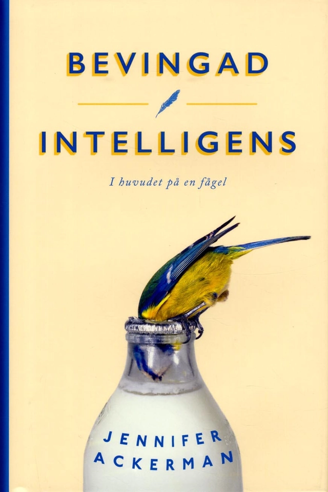 Bevingad intelligens : I huvudet på en fågel; Jennifer Ackerman; 2018