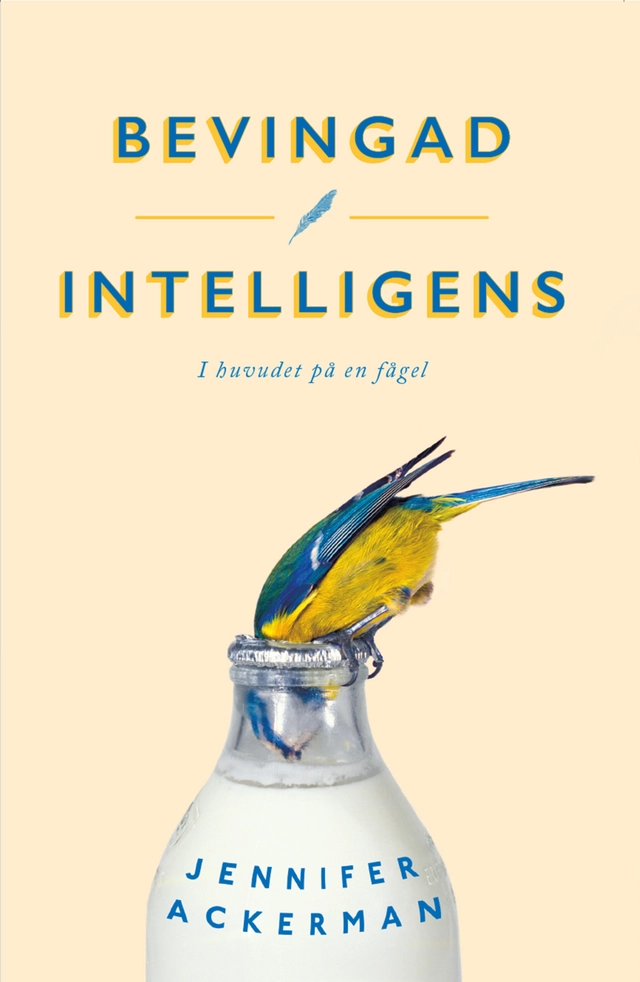 Bevingad intelligens : I huvudet på en fågel; Jennifer Ackerman; 2019