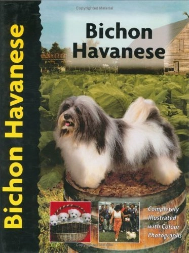 Bichon HavanesePet Love Series; Zoila Portuondo Guerra; 1999