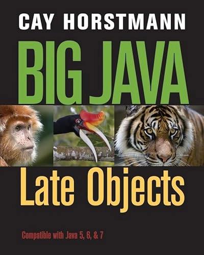 Big Java: Late Objects 1e + WileyPLUS Registration Card; Cay S. Horstmann