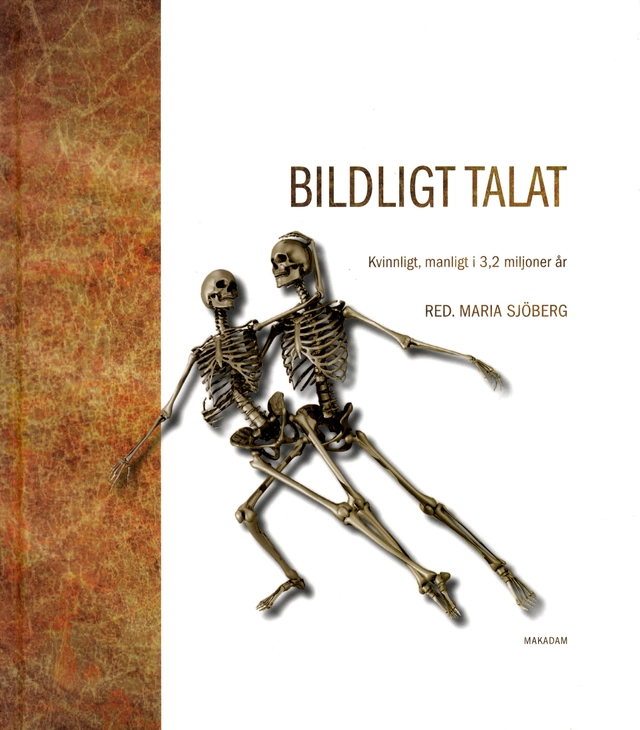 Bildligt talat : kvinnligt, manligt i 3,2 miljoner år; Maria Sjöberg, Henrik Alexandersson, Eva I Andersson, Elisabeth Arwill-Nordbladh, Maria Bruun-Lundgren, Annika Bünz, Martin Dackling, Lena Larsson Lovén, Audur Magnúsdóttir, Hanna Markusson Winkvist, Sari Nauman, Agneta Strömberg, Anita Synnestvedt; 2011