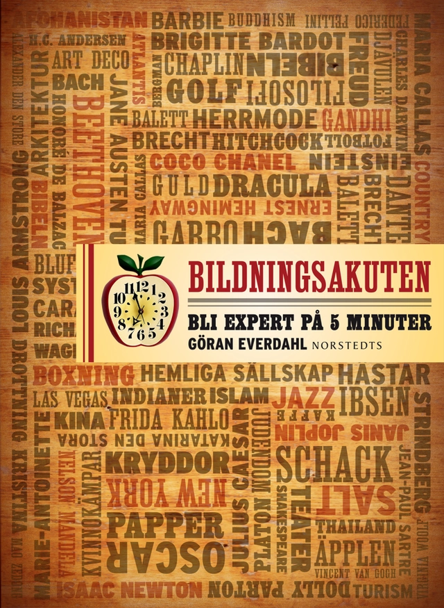 Bildningsakuten : bli expert på 5 minuter; Göran Everdahl; 2014