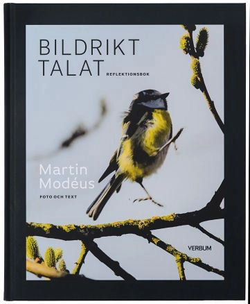 Bildrikt talat : reflektionsbok; Martin Modéus; 2021