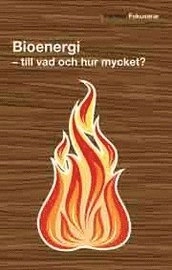 Bioenergi - till vad och hur mycket?; Birgitta Johansson; 2007