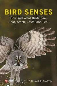 Bird Senses; Graham R Martin; 2020