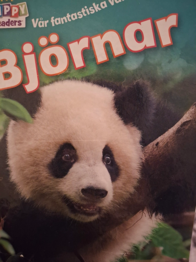 Björnar ; Xx; 2014