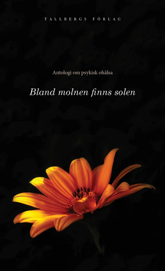 Bland molnen finns solen; Håkan Lindgren; 2022