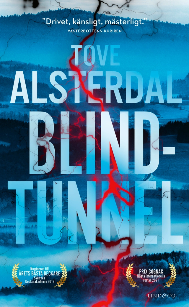 Blindtunnel; Tove Alsterdal; 2019
