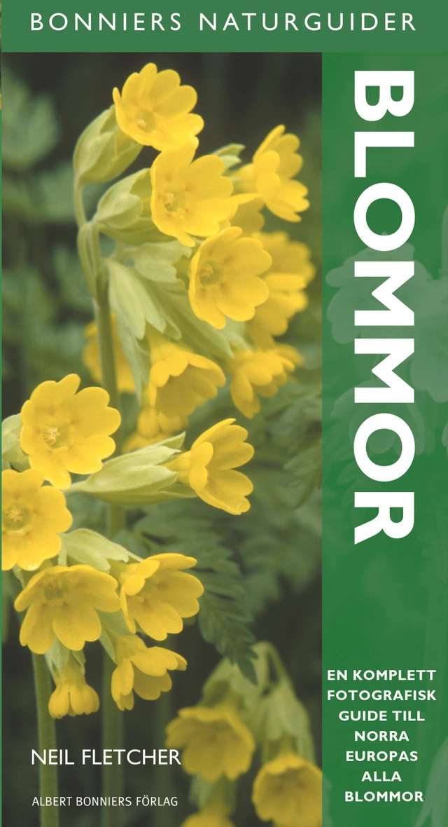 Blommor; Neil Fletcher; 2005