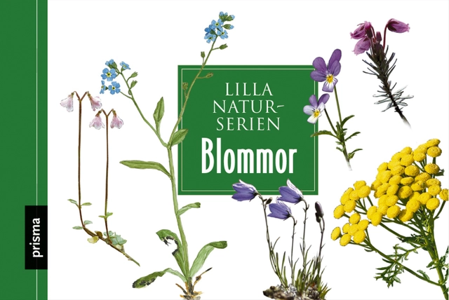 Blommor; Ulf Svedberg, Tore Fonstad; 2006