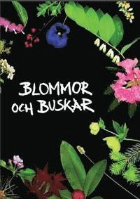 Blommor och buskar; Kenneth Lorentzon, Bengt Persson, Rolf Ginstmark, Barbara Johnson, Stefan Nilsson, Eric Wahlsteen, Ingrid Kristensson, Irene Bengtsson; 2008
