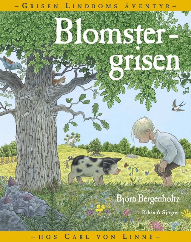 Blomstergrisen : Grisen Lindboms äventyr med Carl von Linné; Björn Bergenholtz; 2003
