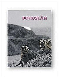 Bohuslän; Viveka Overland; 2010