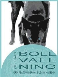 Boken om bollvallning; Åsa Tova Bergh; 2008