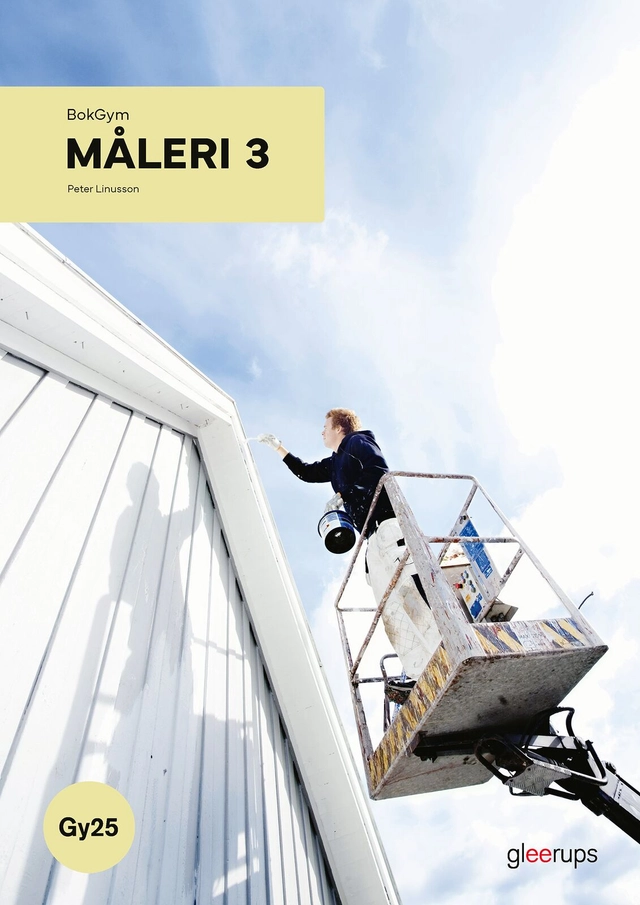 BokGym Måleri 3 - Gy25; Peter Linusson; 2025