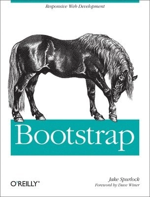 Bootstrap; Jake Spurlock; 2013