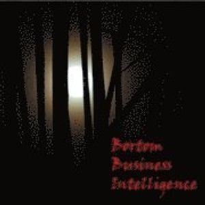 Bortom business intelligence; Kjell Borking, Mats Danielson, Love Ekenberg, Jim Idefeldt, Aron Larsson; 2009