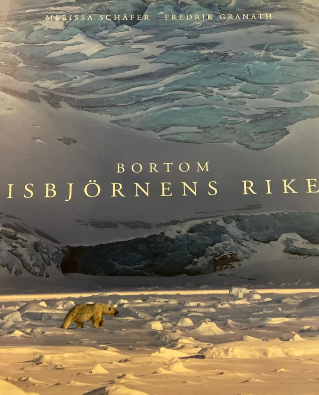 Bortom Isbjörnens Rike; Melissa Schäfer & Fredrik Granath; 2019