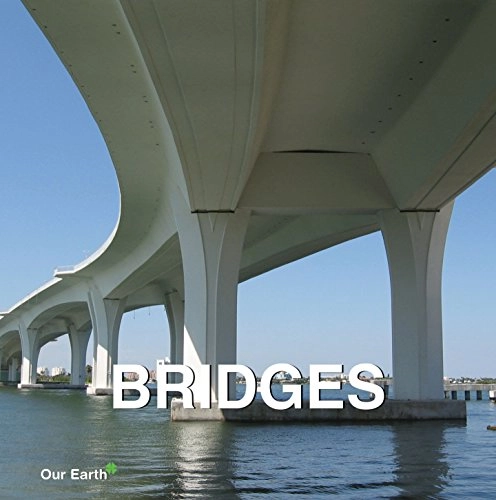 Bridges ; Mika Brake; 2010