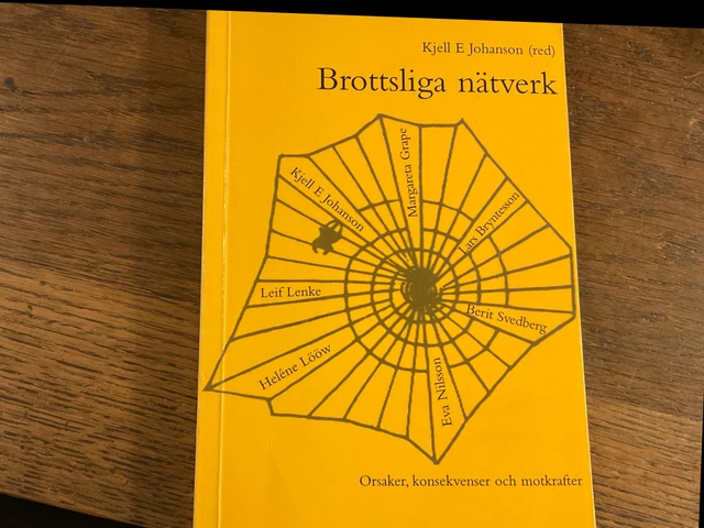 Brottsliga nätverk : orsaker, konsekvenser och motkrafter; Kjell E. Johanson; 1998