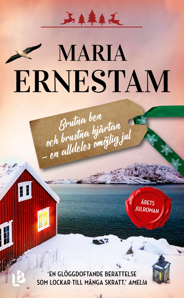Brutna ben och brustna hjärtan - en alldeles omöjlig jul; Maria Ernestam; 2019