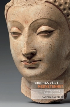 Buddhas väg till medvetenhet : en vägledning till Satipatthana-sutta; Bhikshu Sangharákshita; 2022