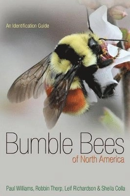 Bumble bees of North America : an identification guide; Paul Williams, Robbin W. Thorp, Leif. Richardson, Sheila. Colla; 2014