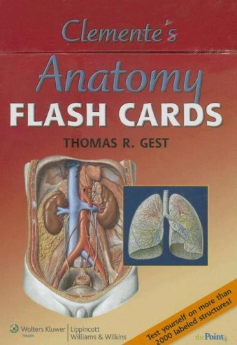 Clemente's Anatomy Flash CardsThe point; Thomas R. Gest; 2007