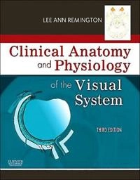 Clinical anatomy and physiology of the visual system; Lee Ann. Remington; 2012