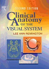 Clinical anatomy of the visual system; Lee Ann Remington; 2005