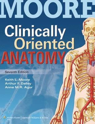 Clinically oriented anatomy; Keith L. Moore, Arthur F. Dalley, A. M. R. Agur; 2014
