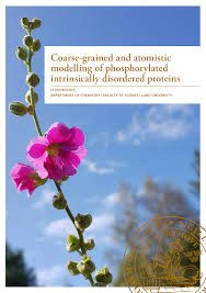 Coarse-grained and atomistic modelling of phosphorylated intrinsically disordered proteins; Ellen Rieloff; 2021