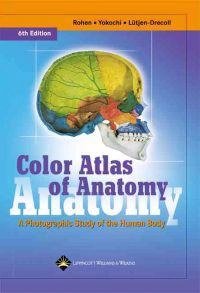 Color atlas of anatomy : a photographic study of the human body; Johannes W. Rohen; 2006