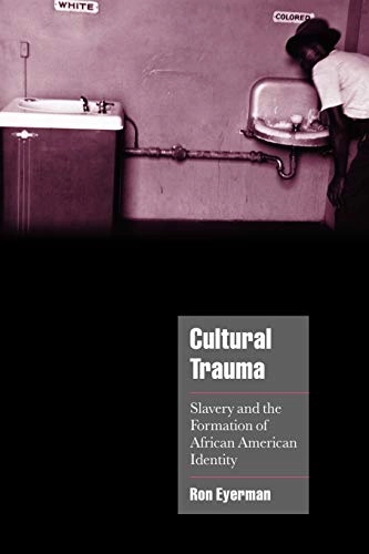 Cultural trauma : slavery and the formation of African American identity; Ron Eyerman; 2001
