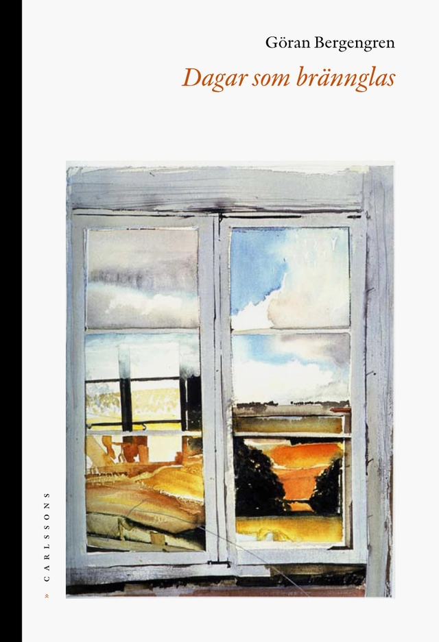 Dagar som brännglas; Göran Bergengren; 2010