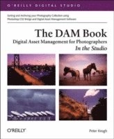 DAM Book, The; Georg von Krogh; 2005