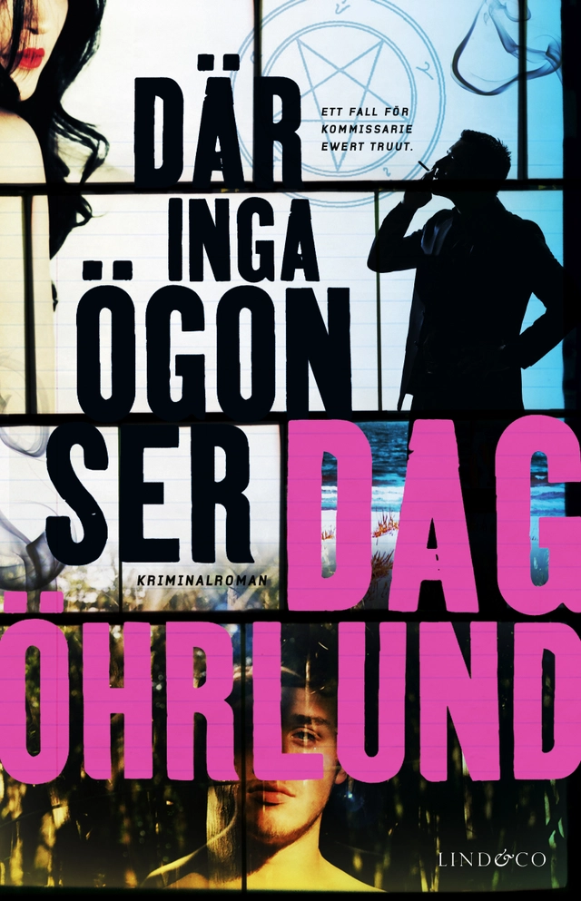 Där inga ögon ser; Dag Öhrlund; 2016