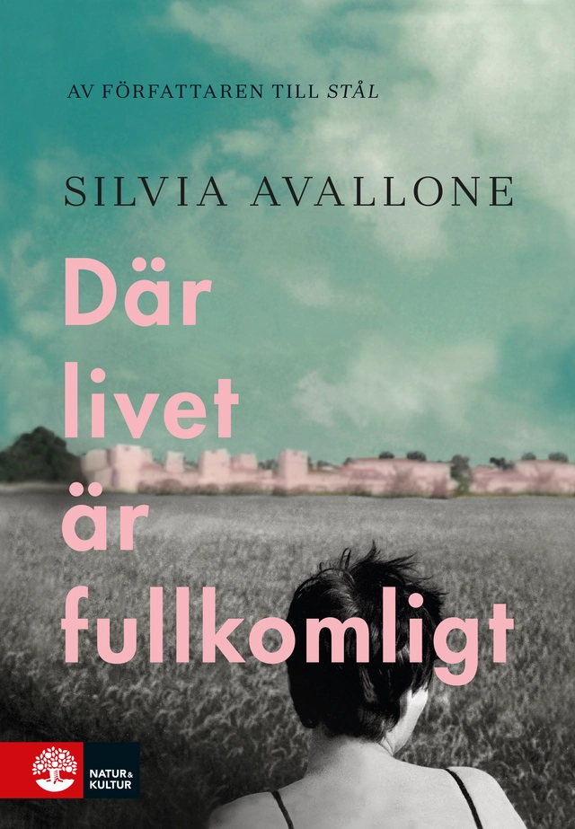 Där livet är fullkomligt; Silvia Avallone; 2019