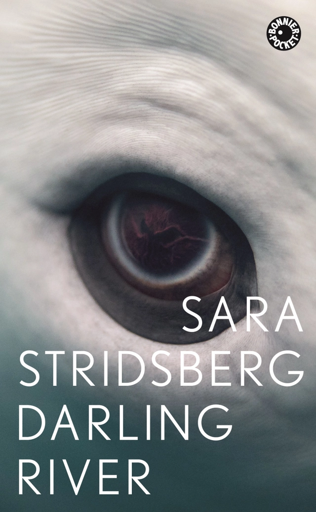 Darling River; Sara Stridsberg; 2018