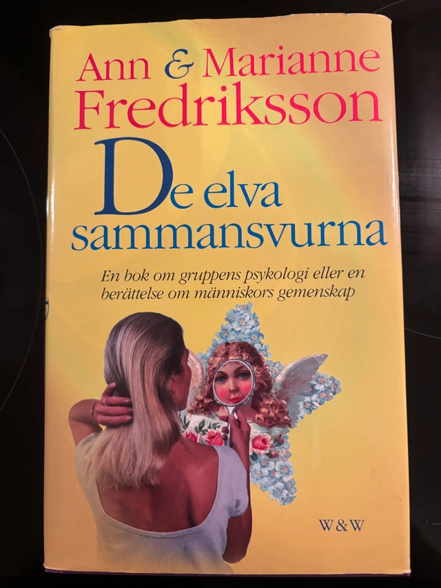 De elva sammansvurna : en bok om gruppens psykologi eller en berättelse om människors gemenskap; Ann Fredriksson; 1995