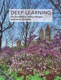 Deep learning; Ian Goodfellow; 2016