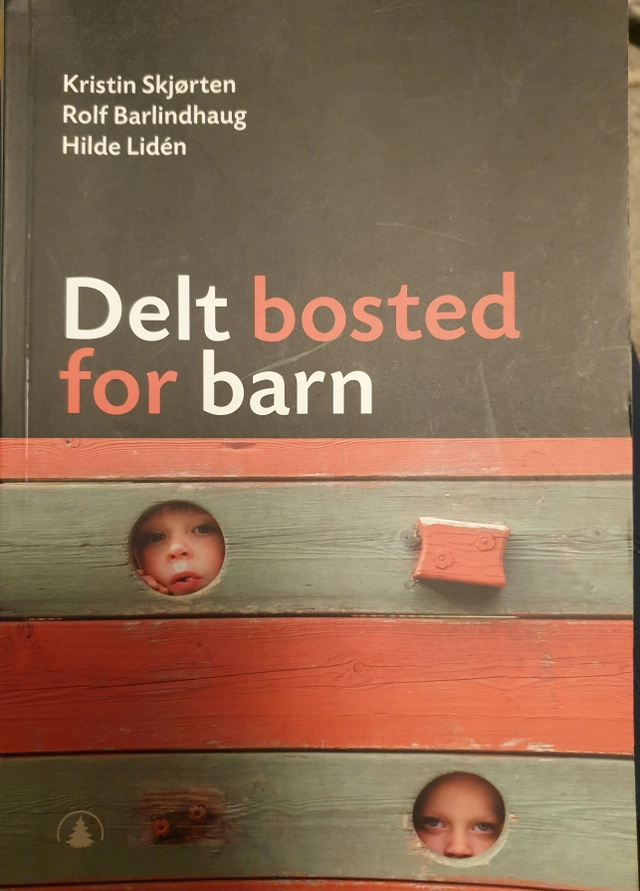 Delt bosted for barn; Kristin Skjørten, Rolf Barlindhaug, Hilde Lidén; 2007