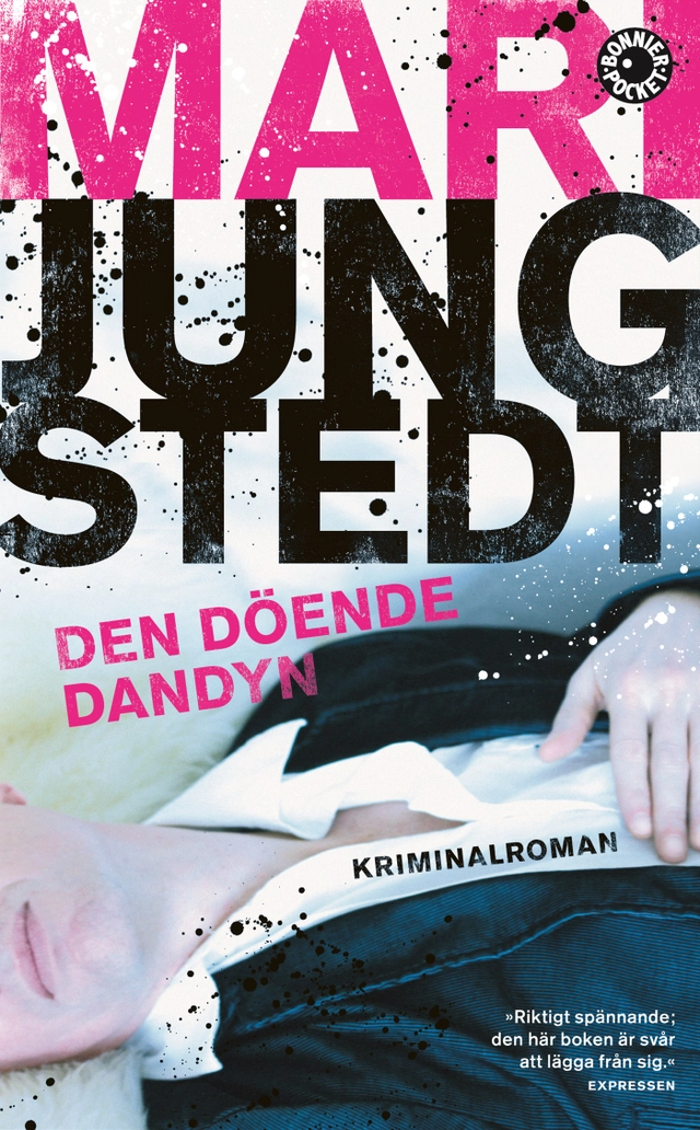 Den döende dandyn; Mari Jungstedt; 2008