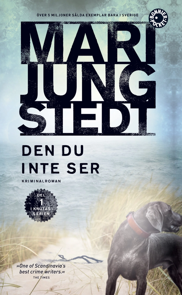 Den du inte ser; Mari Jungstedt; 2019